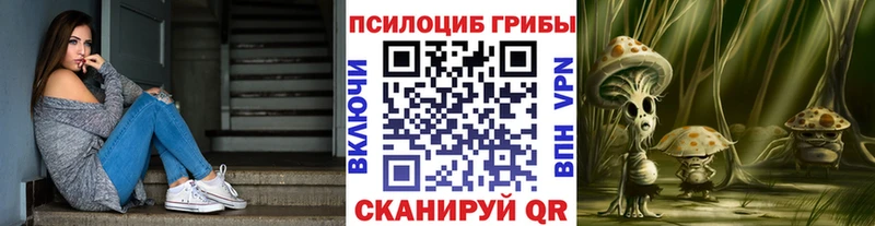 где купить наркоту  Шимановск  Псилоцибиновые грибы MAGIC MUSHROOMS 