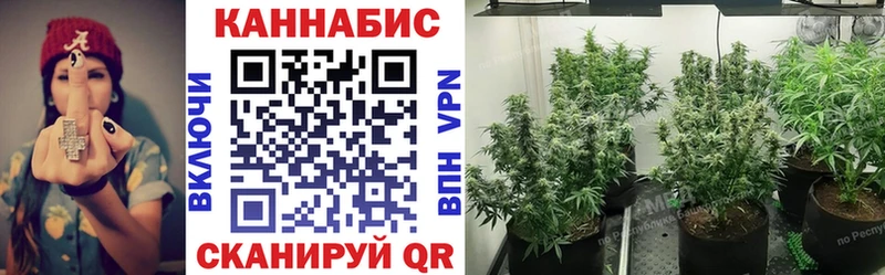Бошки Шишки семена  Шимановск 
